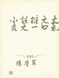 小说推文大女主爽文一口气看完重生有系统