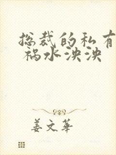 总裁的私有宝贝 祸水泱泱