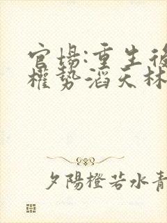 官场:重生后我权势滔天林峰全文