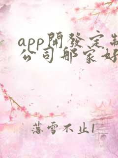 app开发定制公司那家好