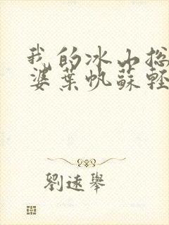 我的冰山总裁老婆叶帆苏轻雪