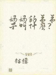 妈妈的弟弟的儿子叫什么?