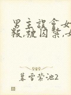 男主误会女主背叛,被囚禁,女主很爱男