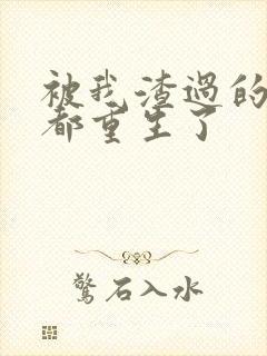 被我渣过的男主都重生了