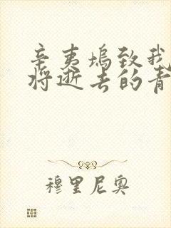 辛夷坞致我们终将逝去的青春