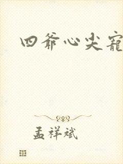 四爷心尖宠妃