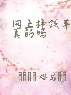 网上挣钱平台有真的吗