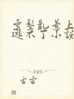 云鬓乱惹上权臣逃不了小说免费阅读