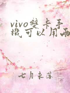 vivo双卡手机可以用两个微信吗