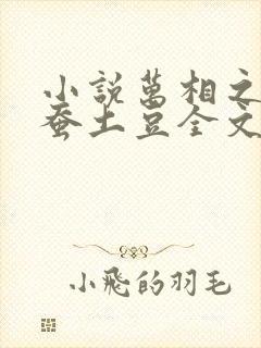 小说万相之王天蚕土豆全文免费阅读全文