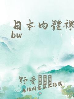 日本肉体裸交bbw