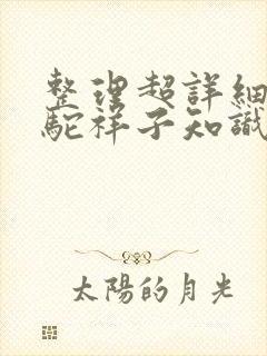 整理超详细的骆驼祥子知识点