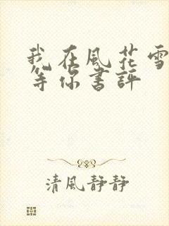 我在风花雪月里等你书评