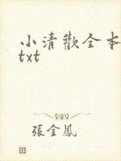 小清欢全本番外txt