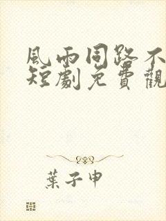 风雨同路不同舟短剧免费观看全集下载