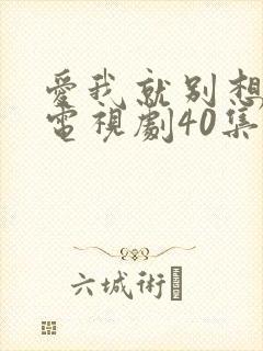 爱我就别想太多电视剧40集