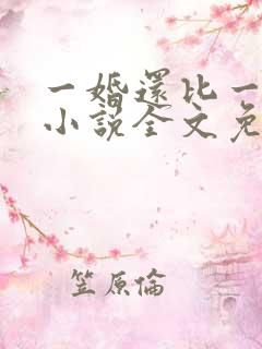 一婚还比一婚高小说全文免费阅读