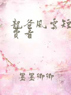 龙爸风云短剧免费看