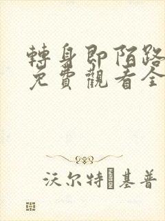 转身即陌路短剧免费观看全集