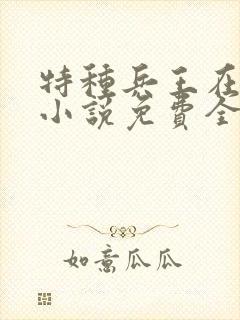 特种兵王在山村小说免费全文阅读