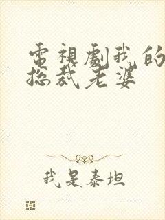 电视剧我的极品总裁老婆