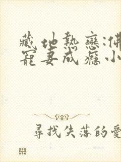 藏地热恋:佛子宠妻成瘾小说陆芊芊