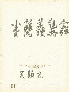 小说叶观全文免费阅读无弹窗