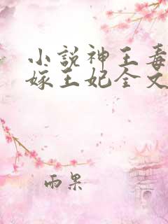 小说神王毒宠二嫁王妃全文