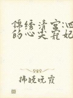 锦绣清宫:四爷的心尖宠妃 雪中回眸