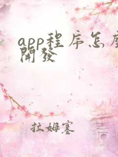 app程序怎么开发