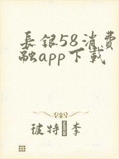 长银58消费金融app下载