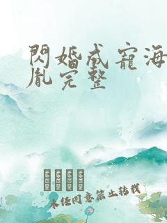 闪婚成宠海彤战胤完整