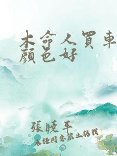 木命人买车什么颜色好