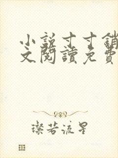 小说寸寸销魂全文阅读免费