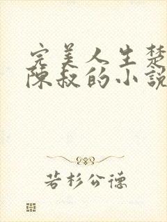 完美人生楚青丝陈叔的小说免费