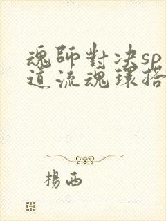 魂师对决sp千道流魂环搭配