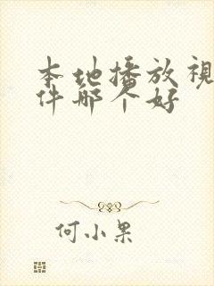 本地播放视频软件哪个好