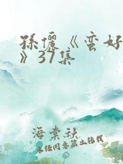 孙俪《蛮好人生》37集