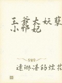 王爷太妖孽独宠小邪妃