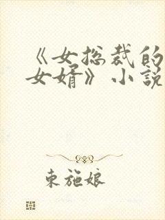 《女总裁的上门女婿》小说