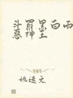 斗罗黑白雨浩善恶神王