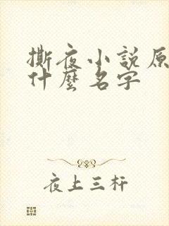 撕夜小说原著叫什么名字