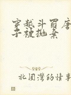 穿越斗罗唐昊孩子被抛弃