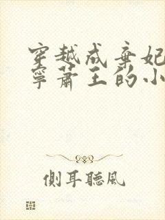 穿越成弃妃楚昀宁萧王的小说