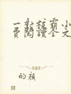 一对校霸小说免费阅读全文无弹窗