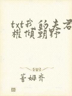 txt我的夫君权倾朝野