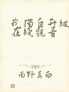 我独自升级动漫在线观看