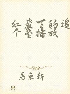 红岩下的追捕哪个台播放