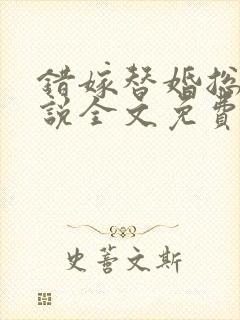 错嫁替婚总裁小说全文免费阅读