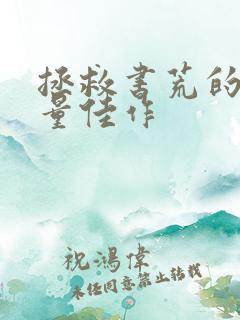 拯救书荒的高质量佳作